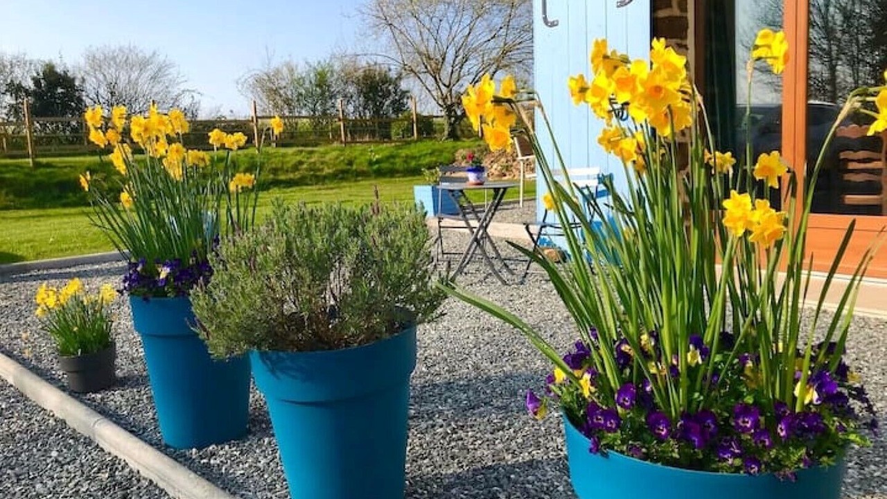 Photo of Outdoor in Saint-Aubin-Fosse-Louvain