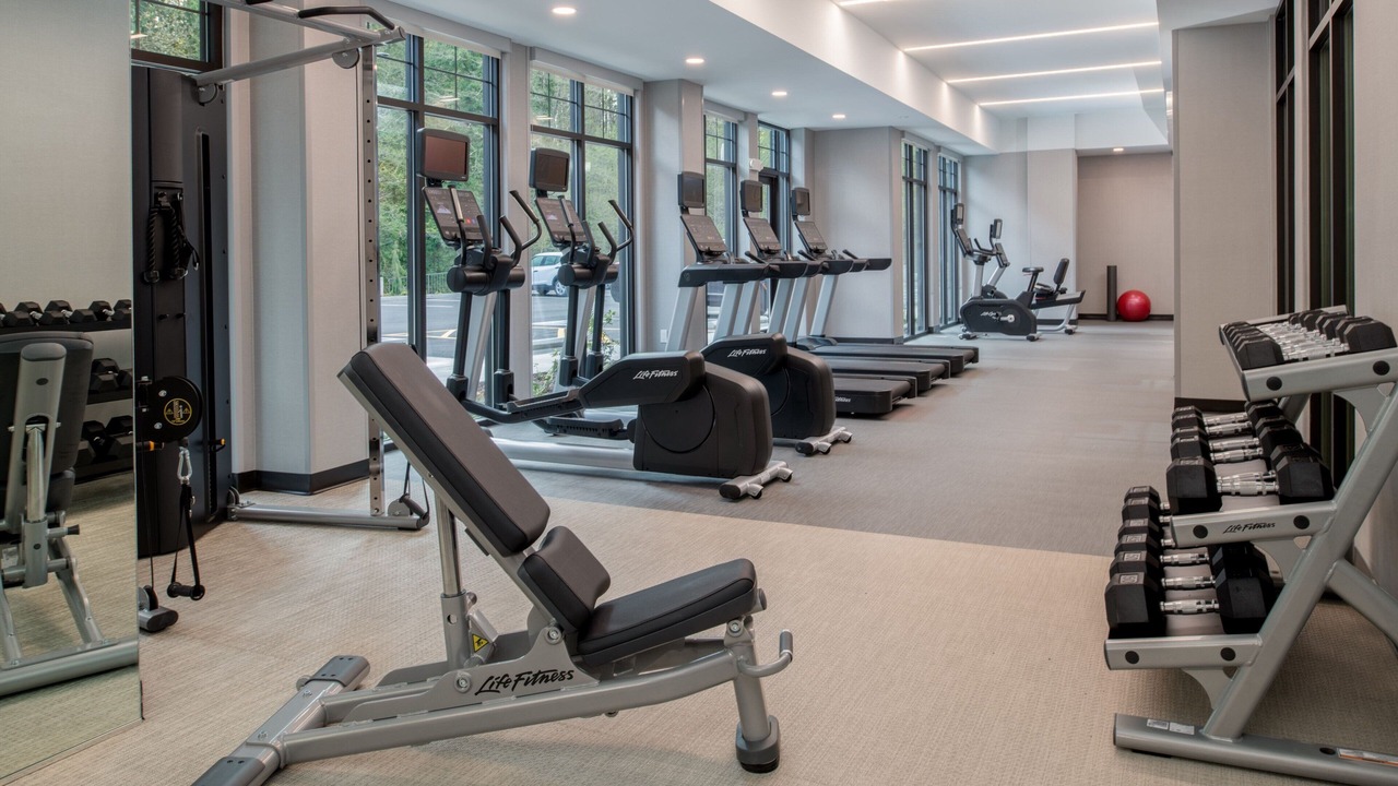 Photo of Others in Olympia