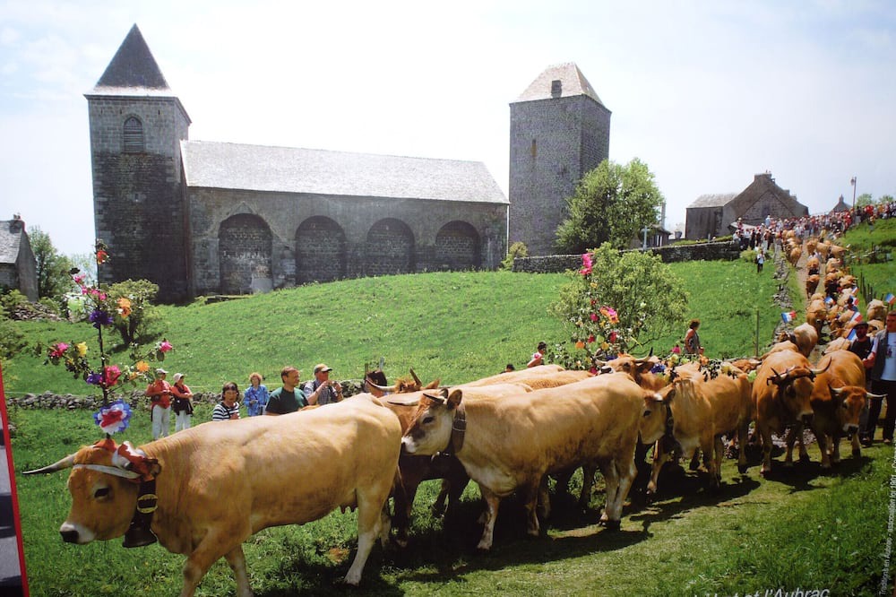 Photo of Outdoor in Laissac