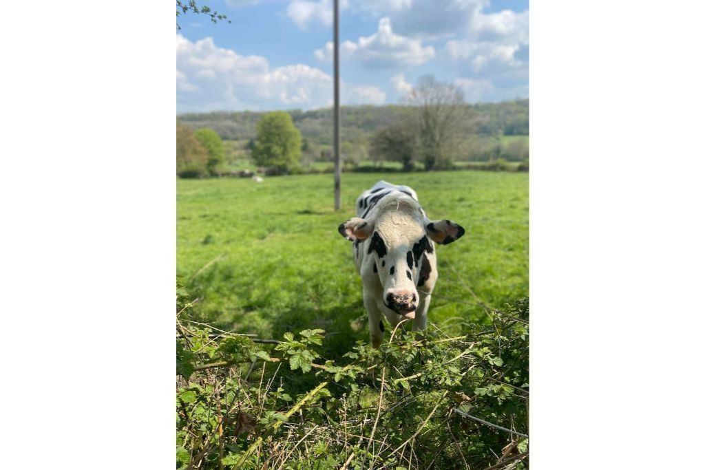 Photo of Others in Neuville-sur-Touques