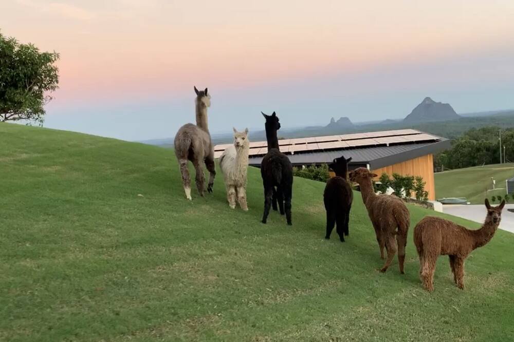 Photo of Others in Booroobin