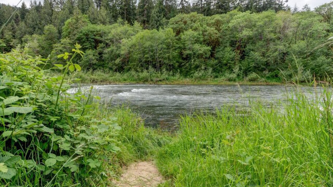 Photo of Outdoor in Oregon Coast