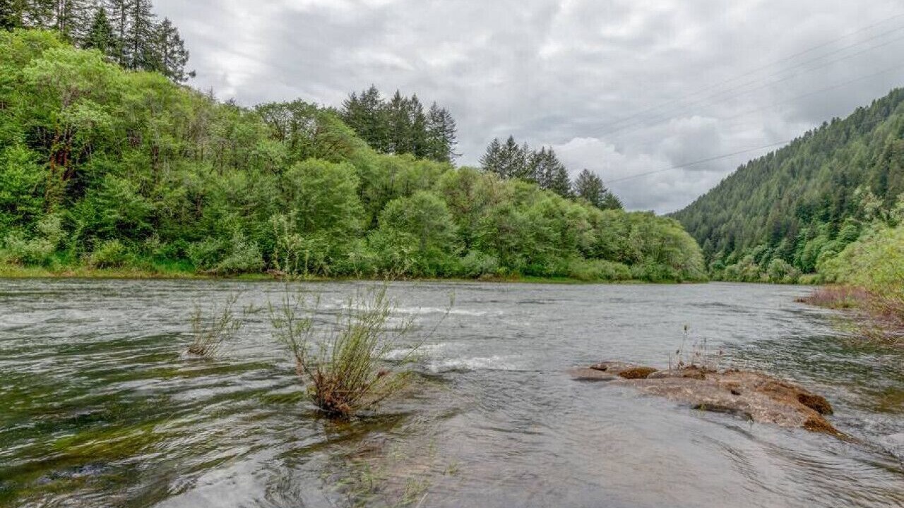 Photo of Others in Oregon Coast