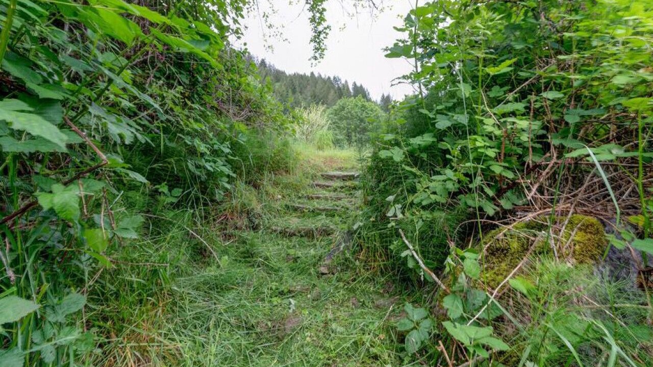 Photo of Outdoor in Oregon Coast