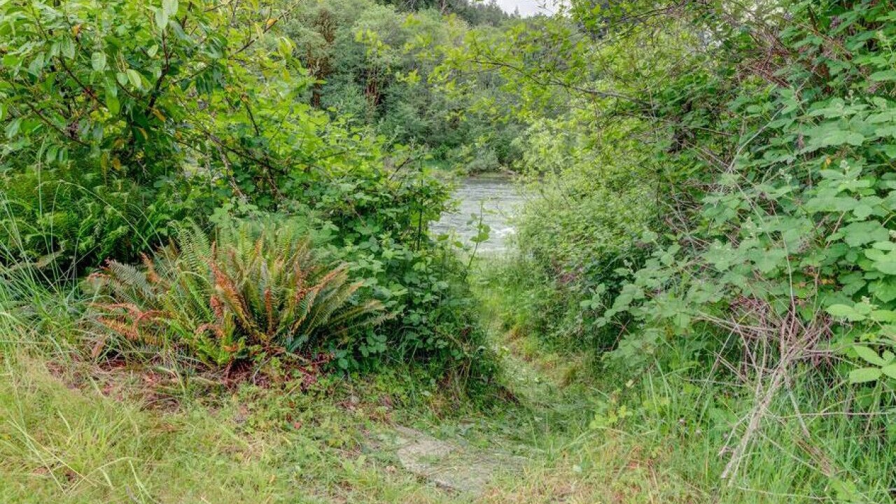 Photo of Outdoor in Oregon Coast
