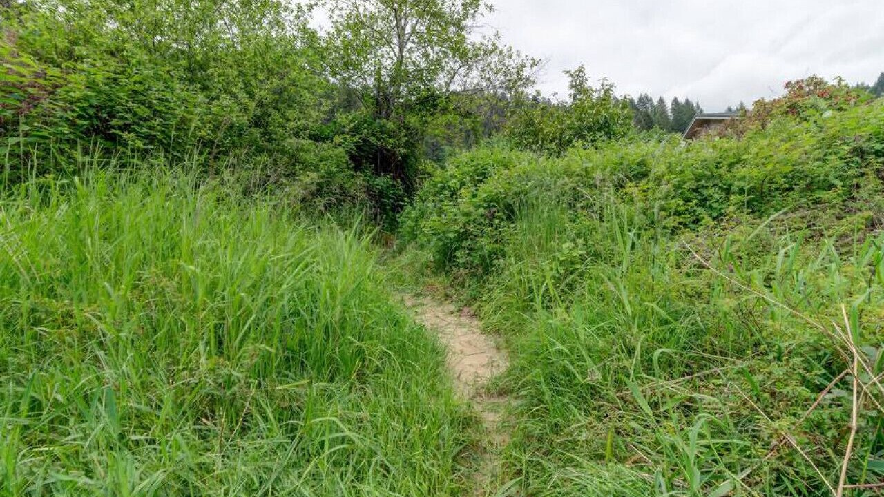 Photo of Others in Oregon Coast