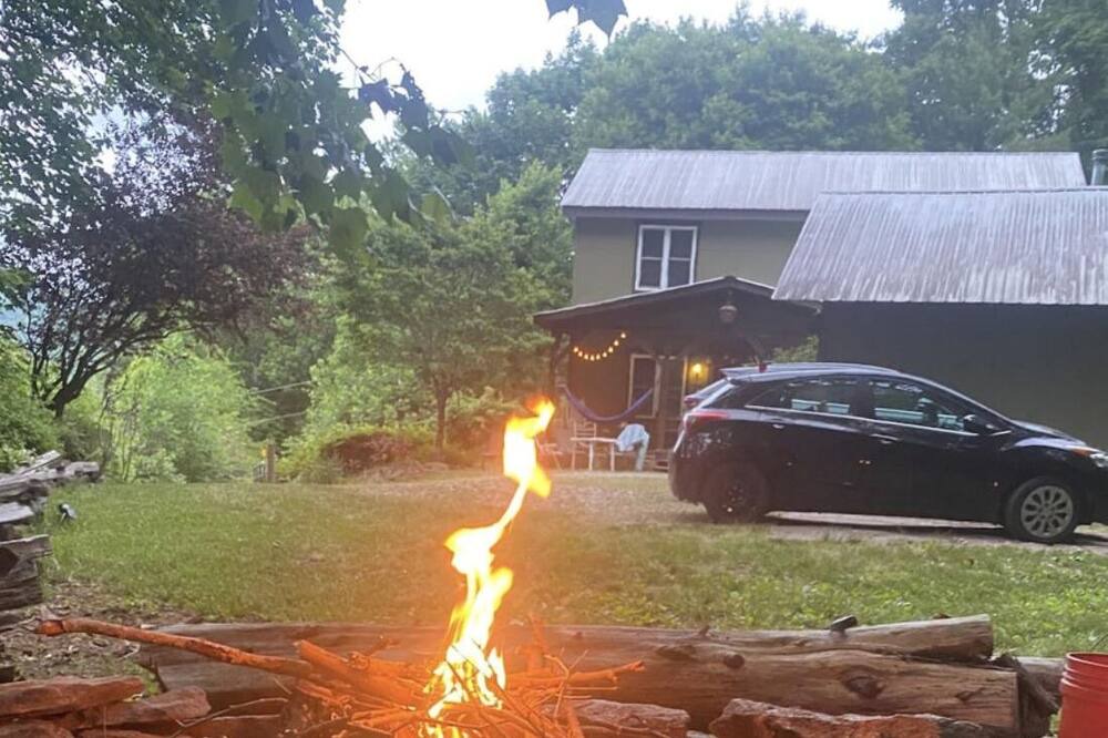 Photo of Outdoor in Tiger