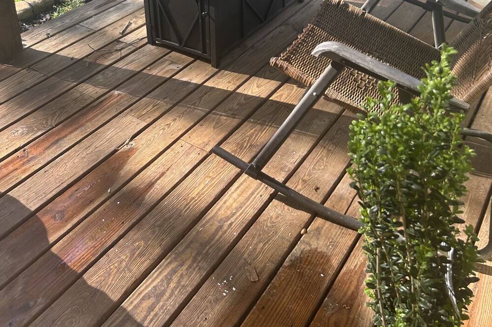 Photo of Outdoor in Tiger