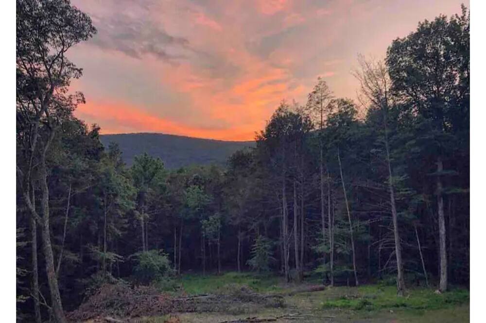 Photo of Others in Olivebridge