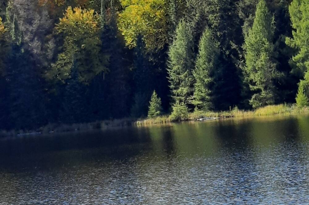Photo of Outdoor in Madawaska