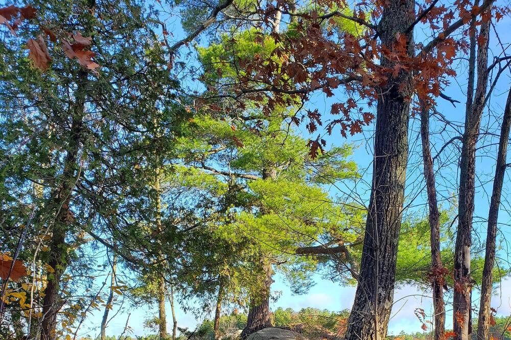 Photo of Outdoor in Madawaska