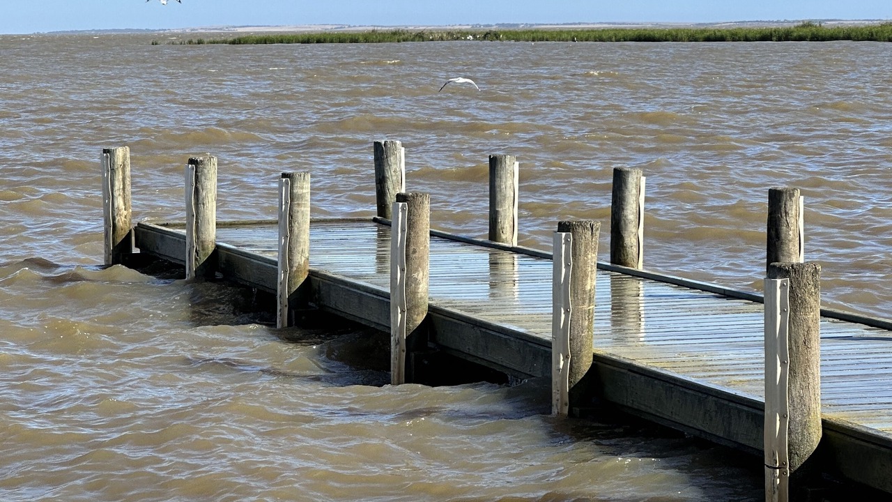 Photo of Others in Alexandrina