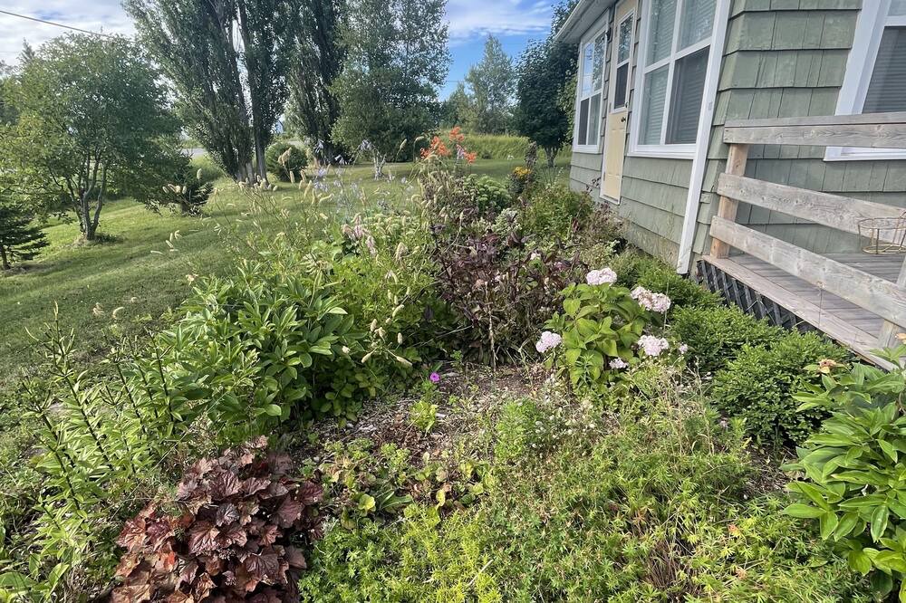 Photo of Others in Wallace