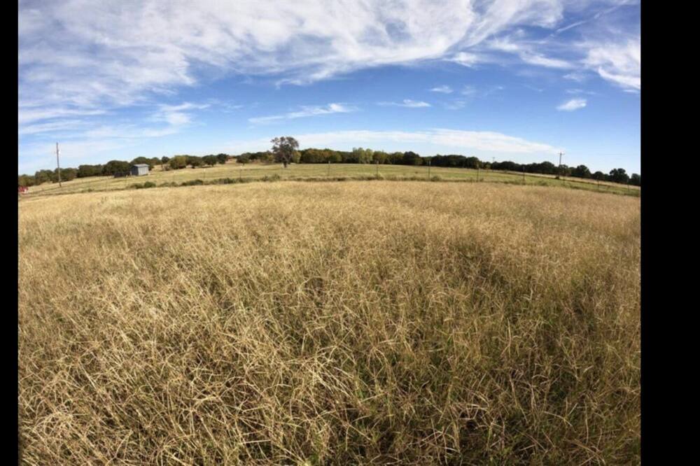 Photo of Outdoor in Bowie
