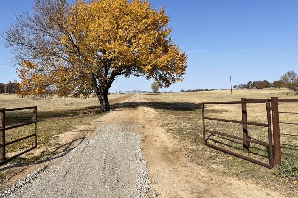 Photo of Others in Bowie