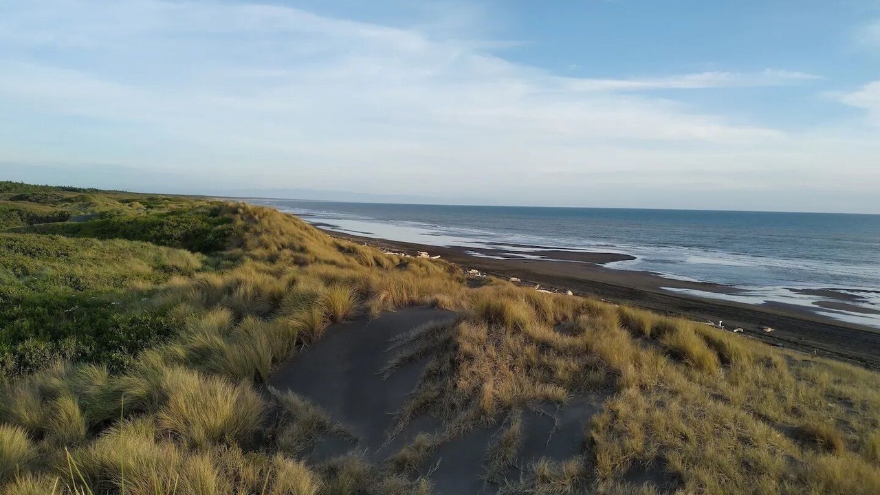 Photo of Others in Koitiata