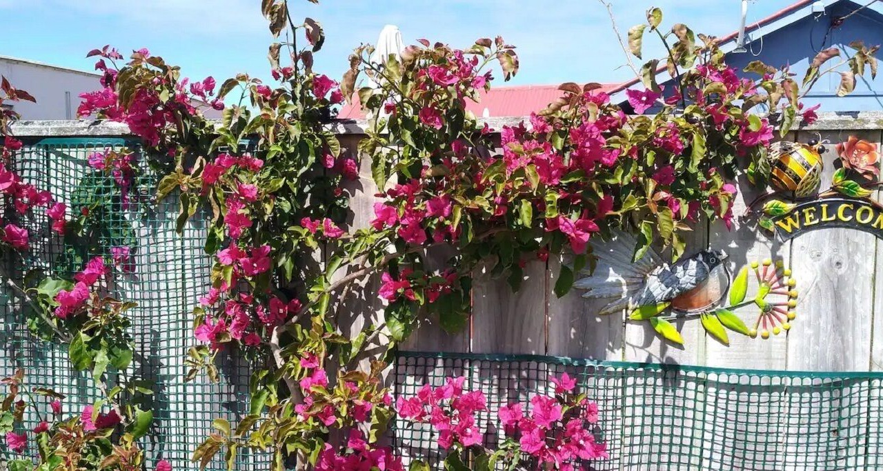 Photo of Outdoor in Koitiata