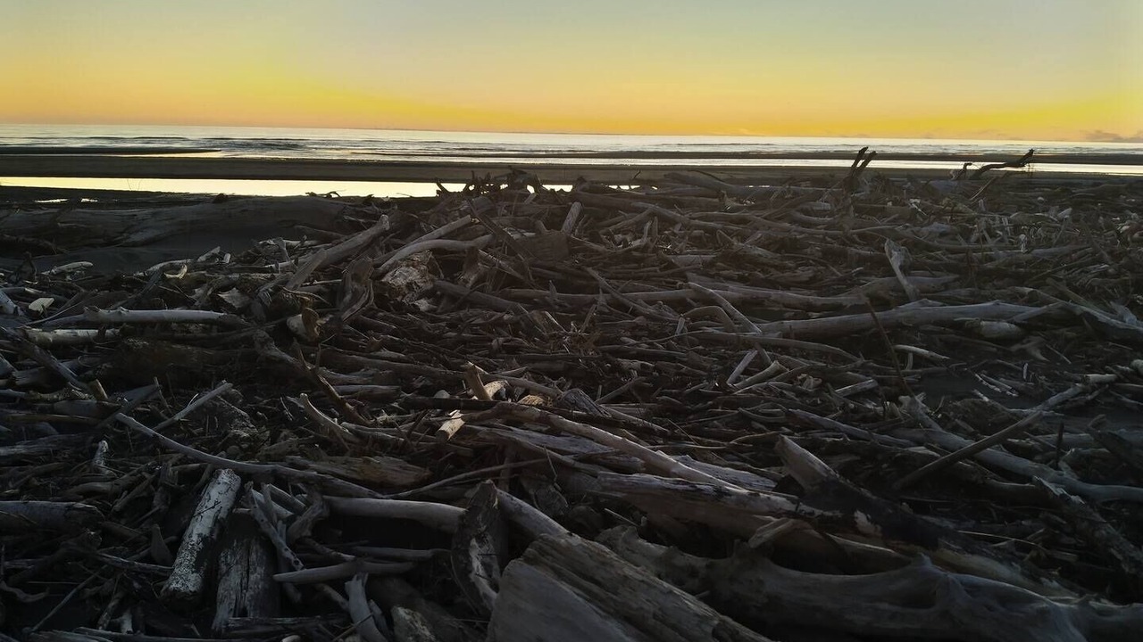 Photo of Others in Koitiata