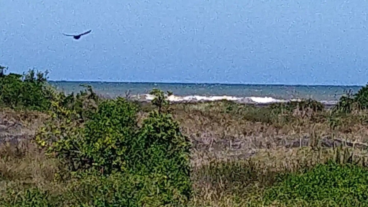 Photo of Others in Koitiata