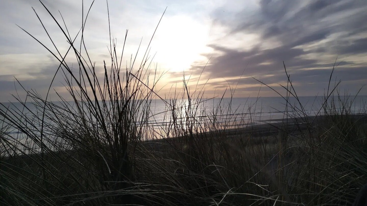 Photo of Others in Koitiata