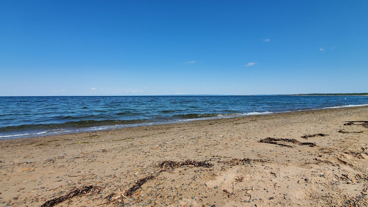 Photo of Others in Guysborough County