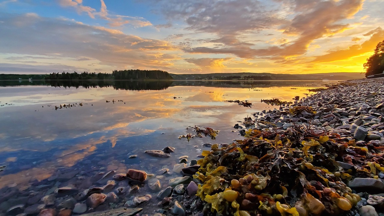 Photo of Others in Guysborough County