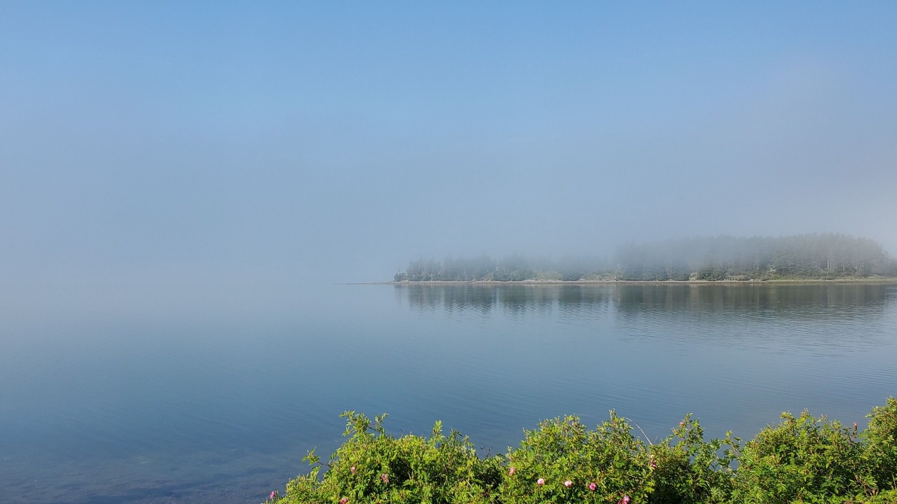 Photo of Others in Guysborough County