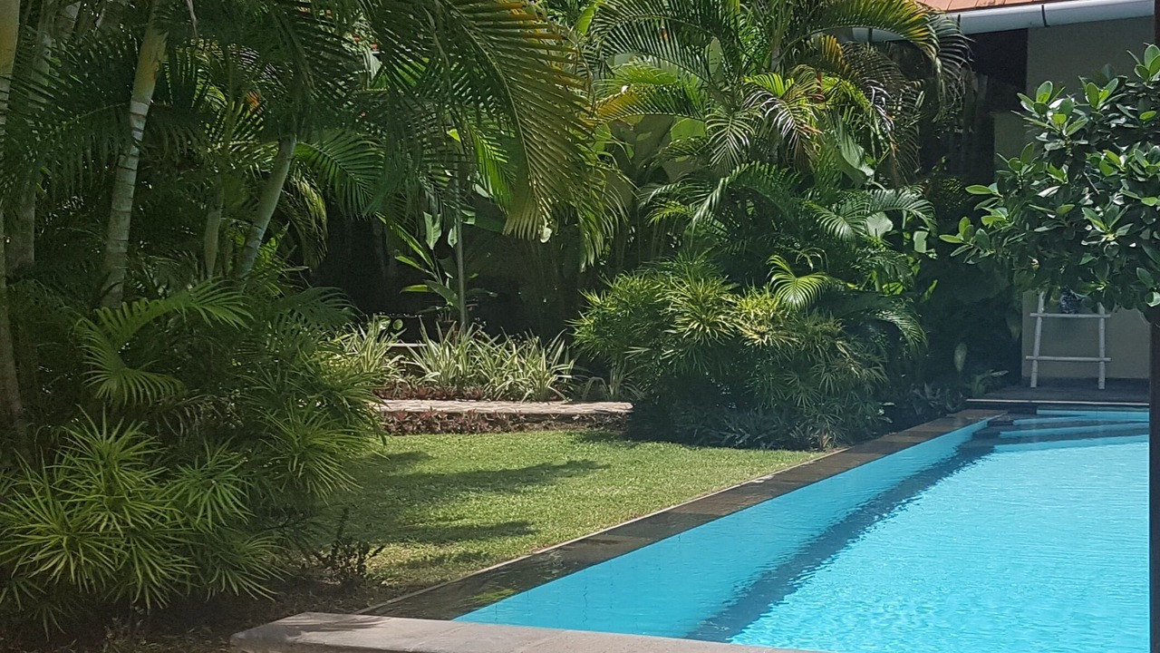 Photo of Outdoor in Lovina