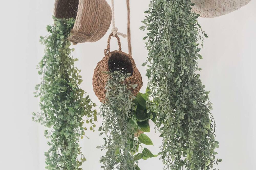 Photo of Others in Runaway Bay