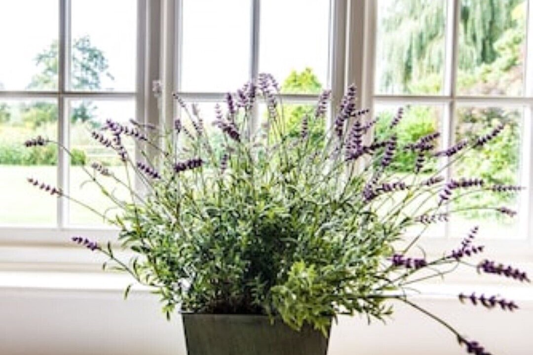 Photo of Others in Mudford