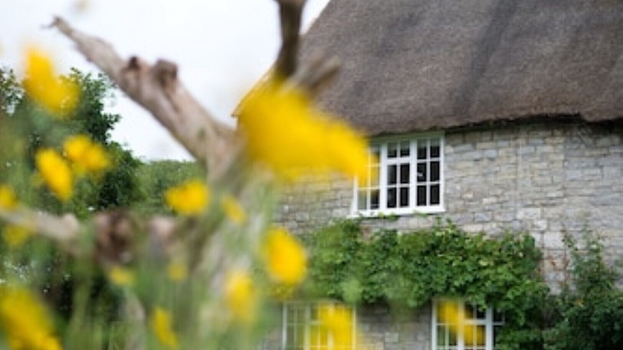 Photo of Outdoor in Mudford