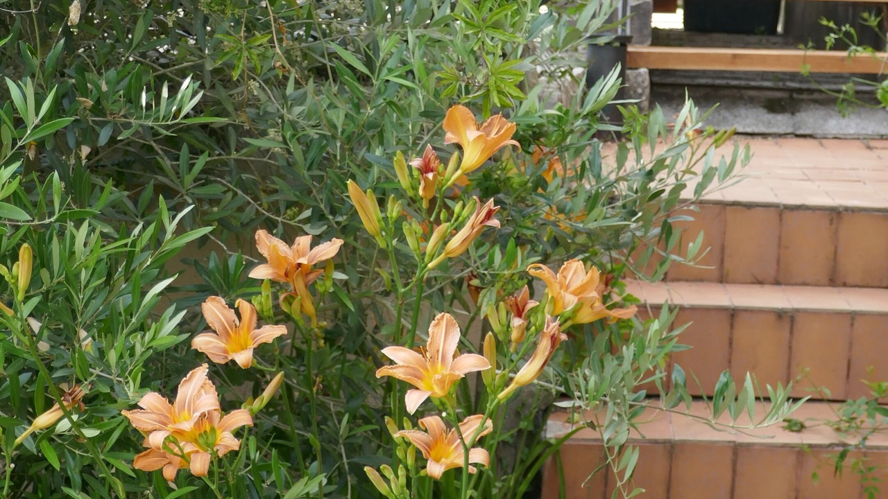 Photo of Outdoor in Puycalvel