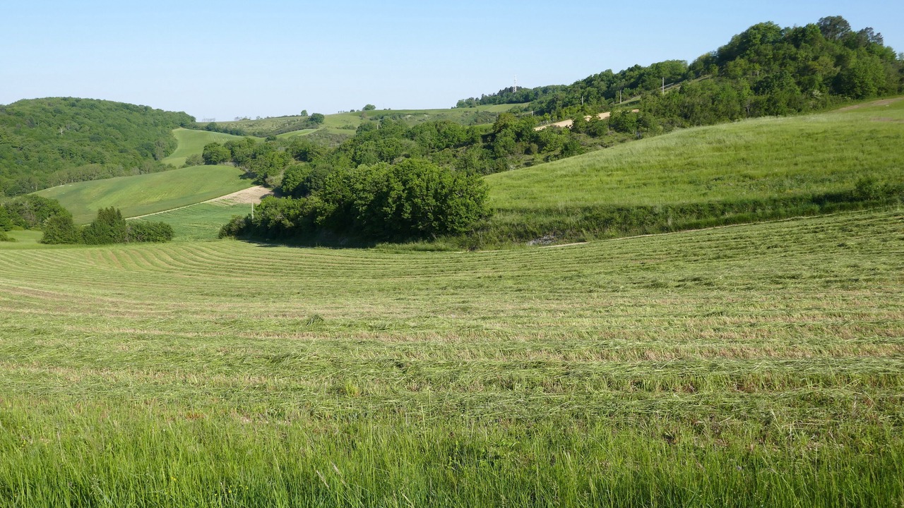 Photo of Outdoor in Puycalvel
