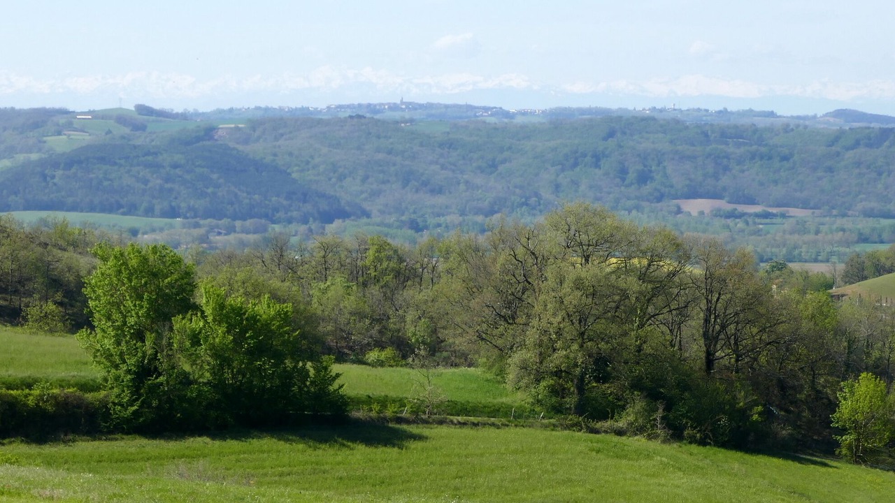 Photo of Outdoor in Puycalvel