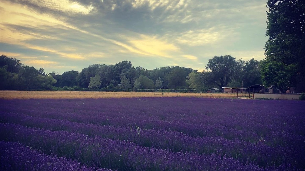 Photo of Outdoor in Jonquerettes