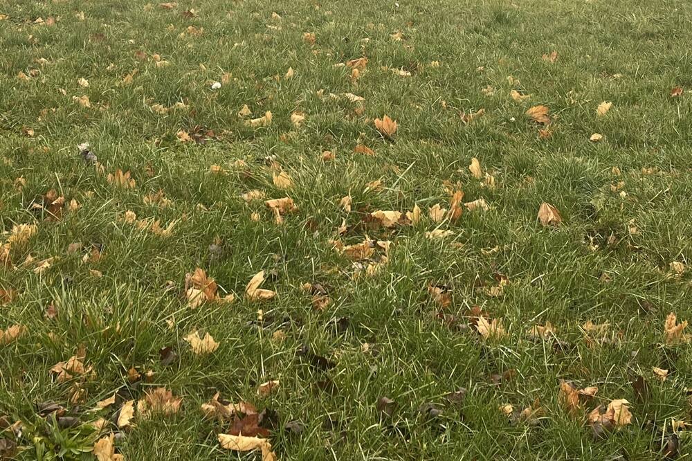 Photo of Outdoor in Dayton