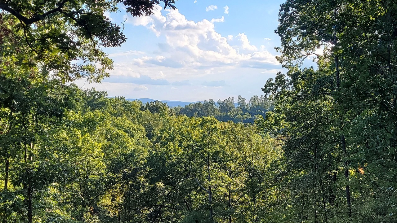 Photo of Others in Marshall