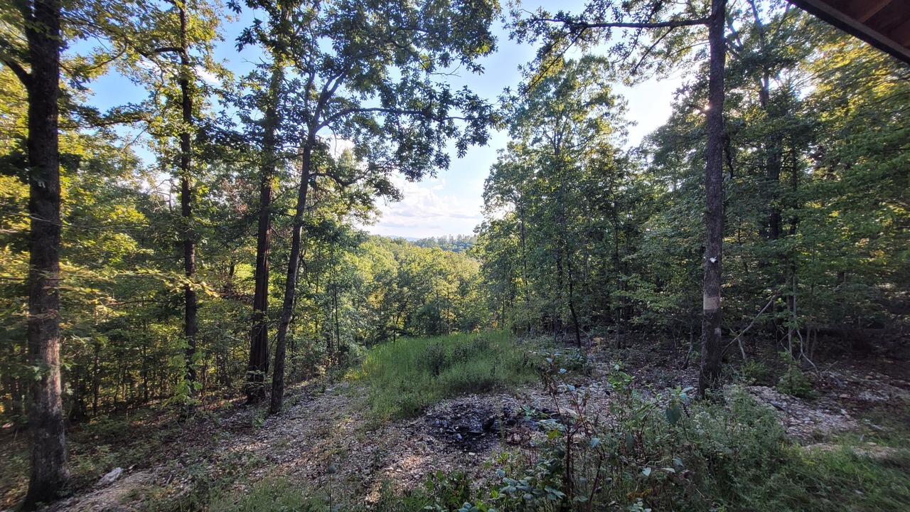 Photo of Others in Marshall