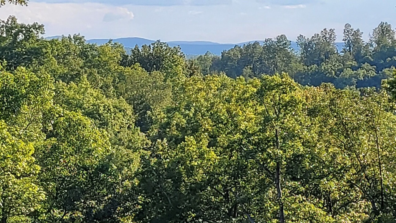 Photo of Others in Marshall