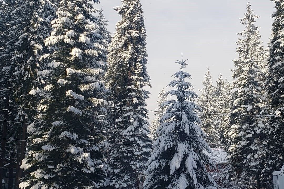 Photo of Others in Leavenworth