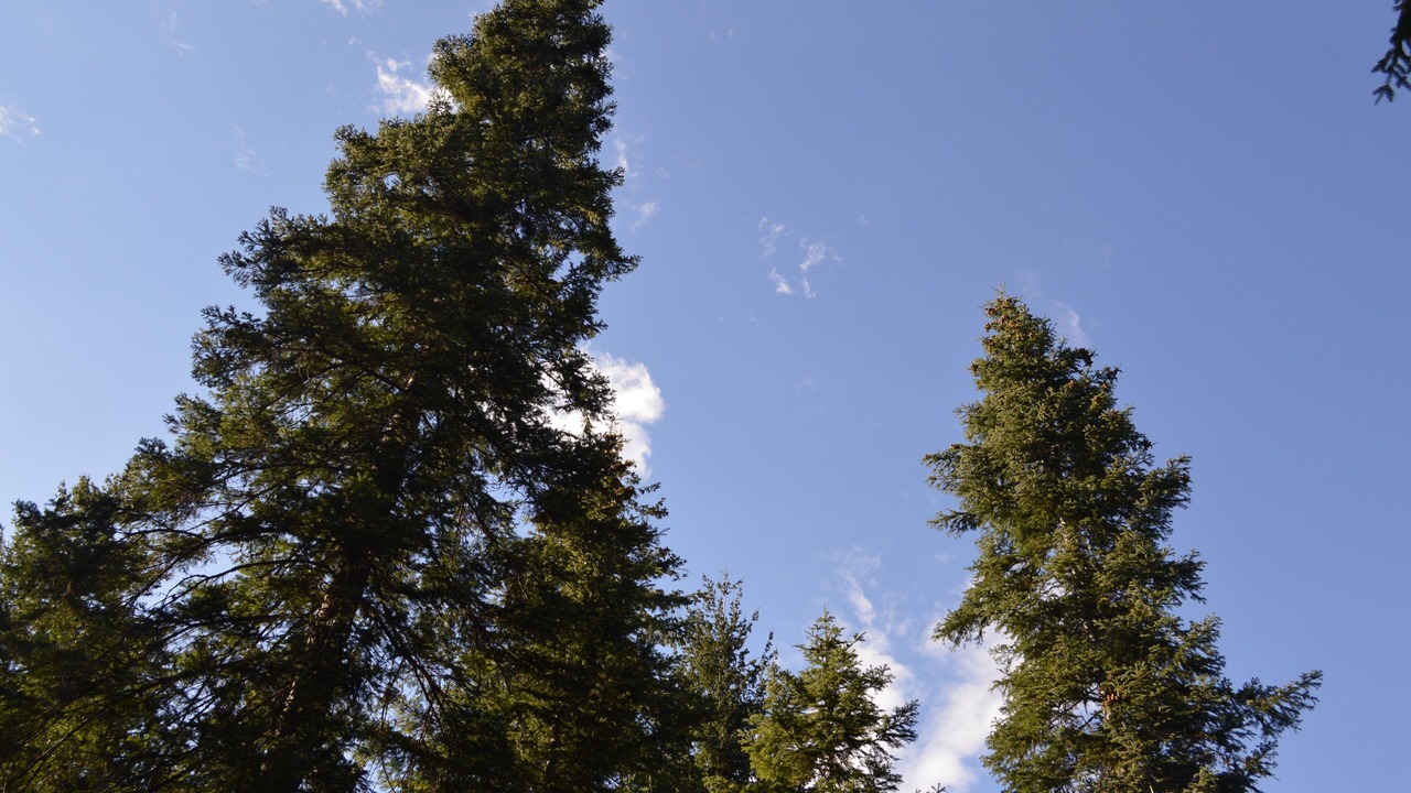Photo of Outdoor in Leavenworth