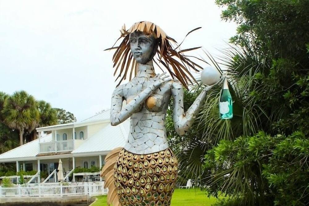 Photo of Outdoor in Aripeka