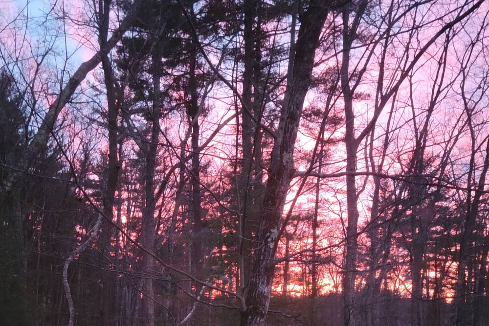 Photo of Others in Windham