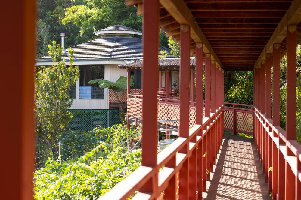 Photo of Outdoor in Honokaa