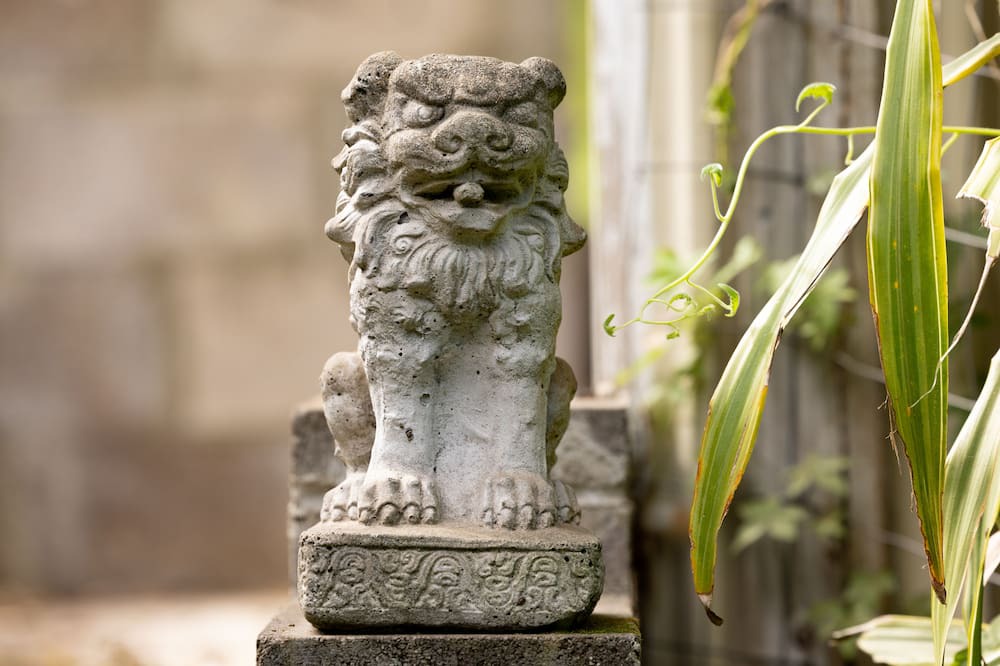 Photo of Others in Honokaa