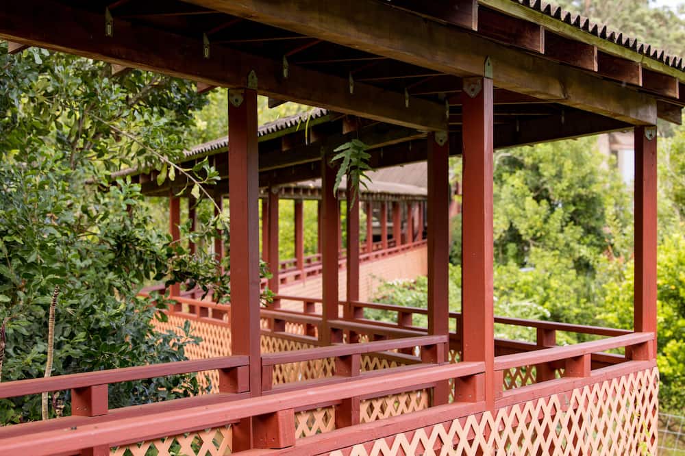 Photo of Outdoor in Honokaa