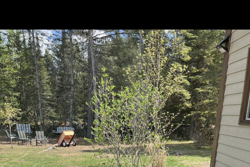 Photo of Outdoor in Bowman