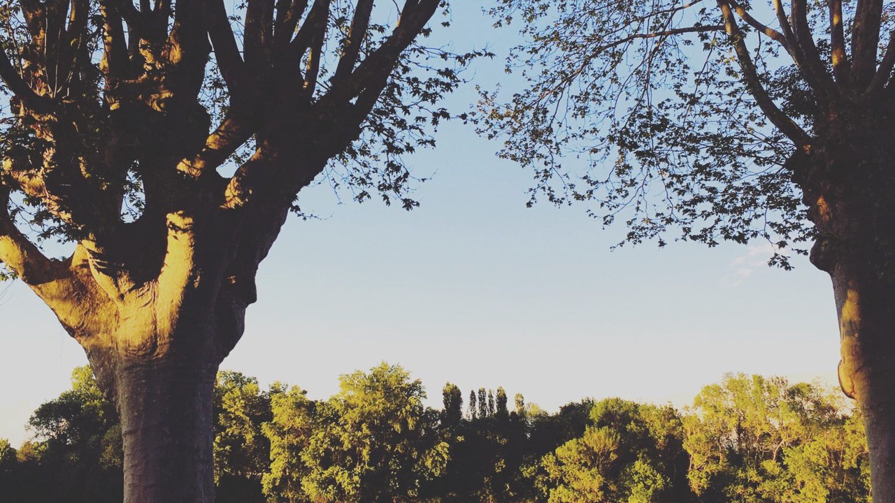 Photo of Others in Chalonnes-sur-Loire