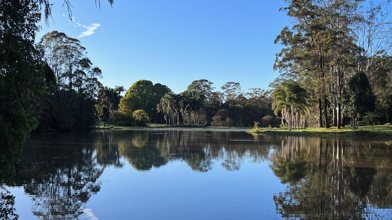 Photo of Others in Witta