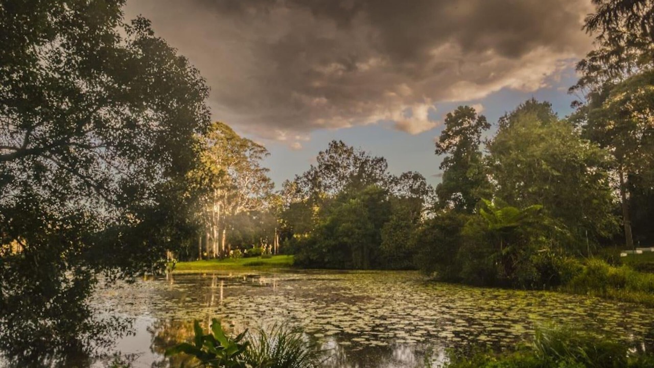 Photo of Others in Witta